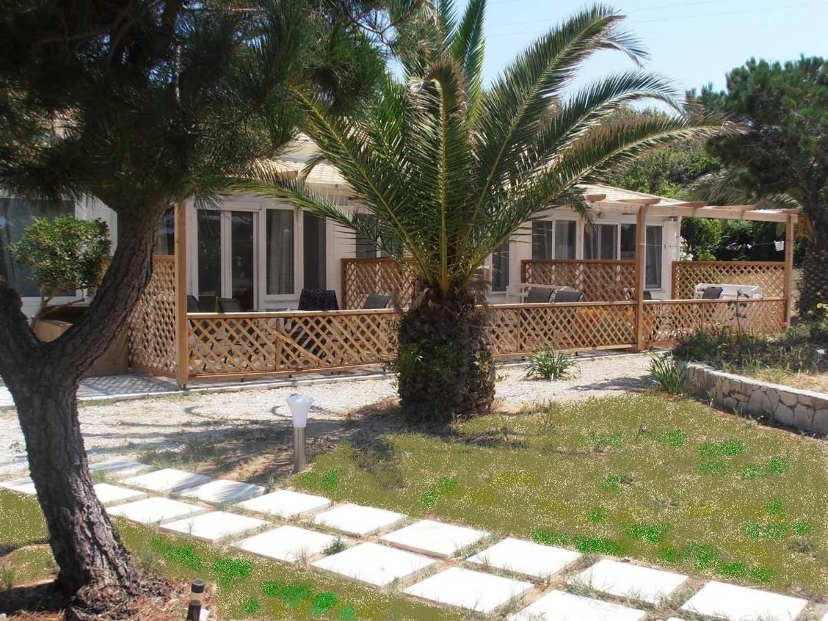 Elli Beach Apartments And Studios Almiros Beach Екстериор снимка