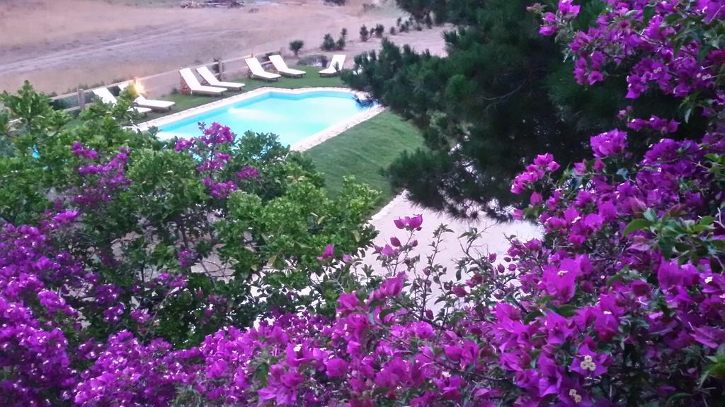 Elli Beach Apartments And Studios Almiros Beach Стая снимка